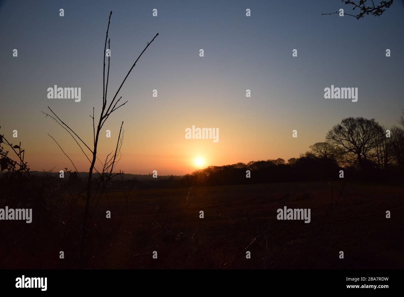 Frühmorgendlicher Sonnenaufgang über Ackerland bei Eccleston St.Helens Merseyside Stockfoto