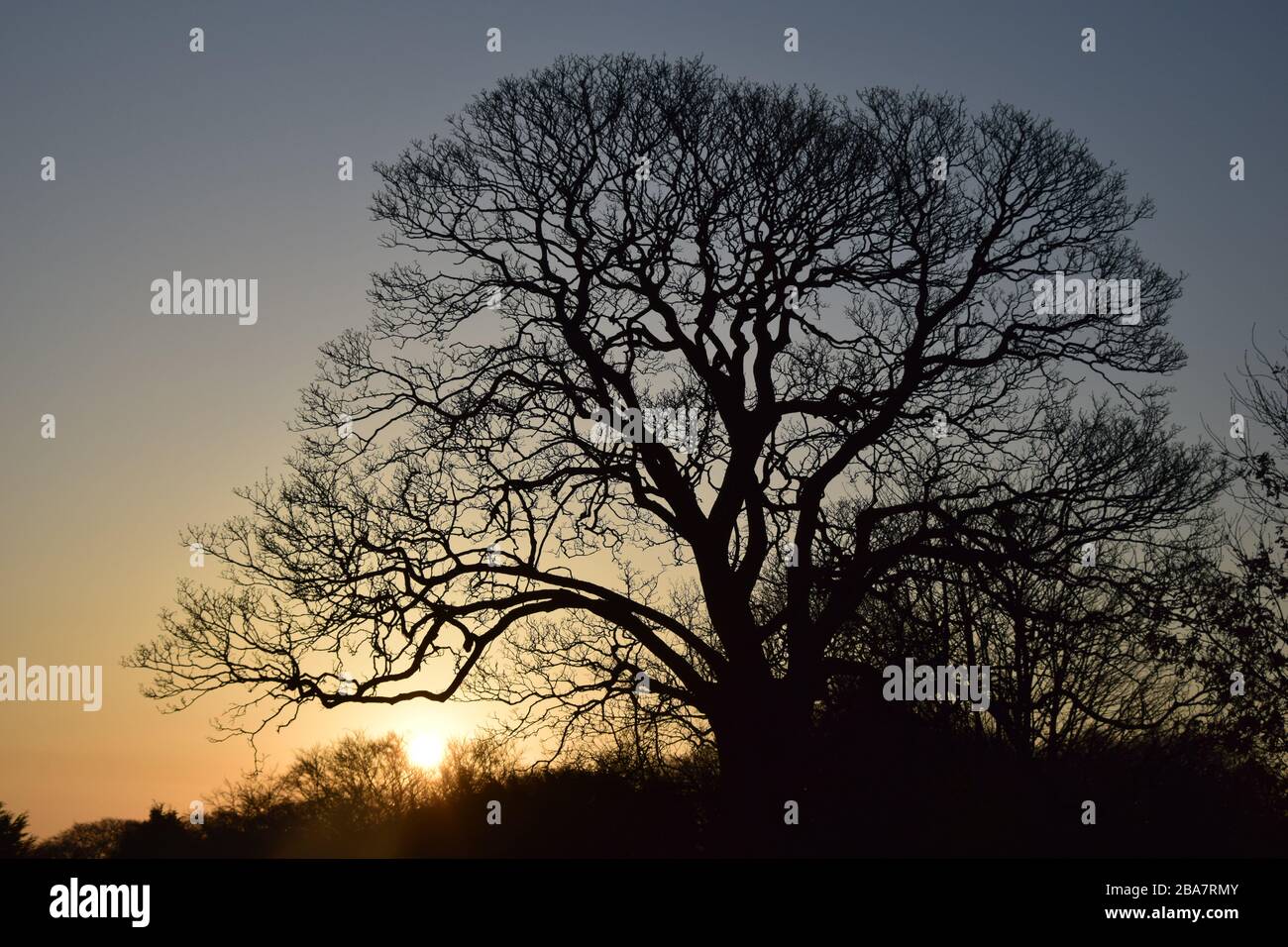 Frühmorgendlicher Sonnenaufgang über Ackerland bei Eccleston St.Helens Merseyside Stockfoto