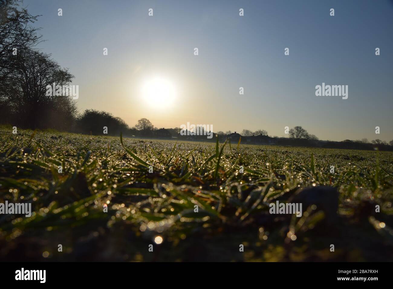 Frühmorgendlicher Sonnenaufgang über Ackerland bei Eccleston St.Helens Merseyside Stockfoto