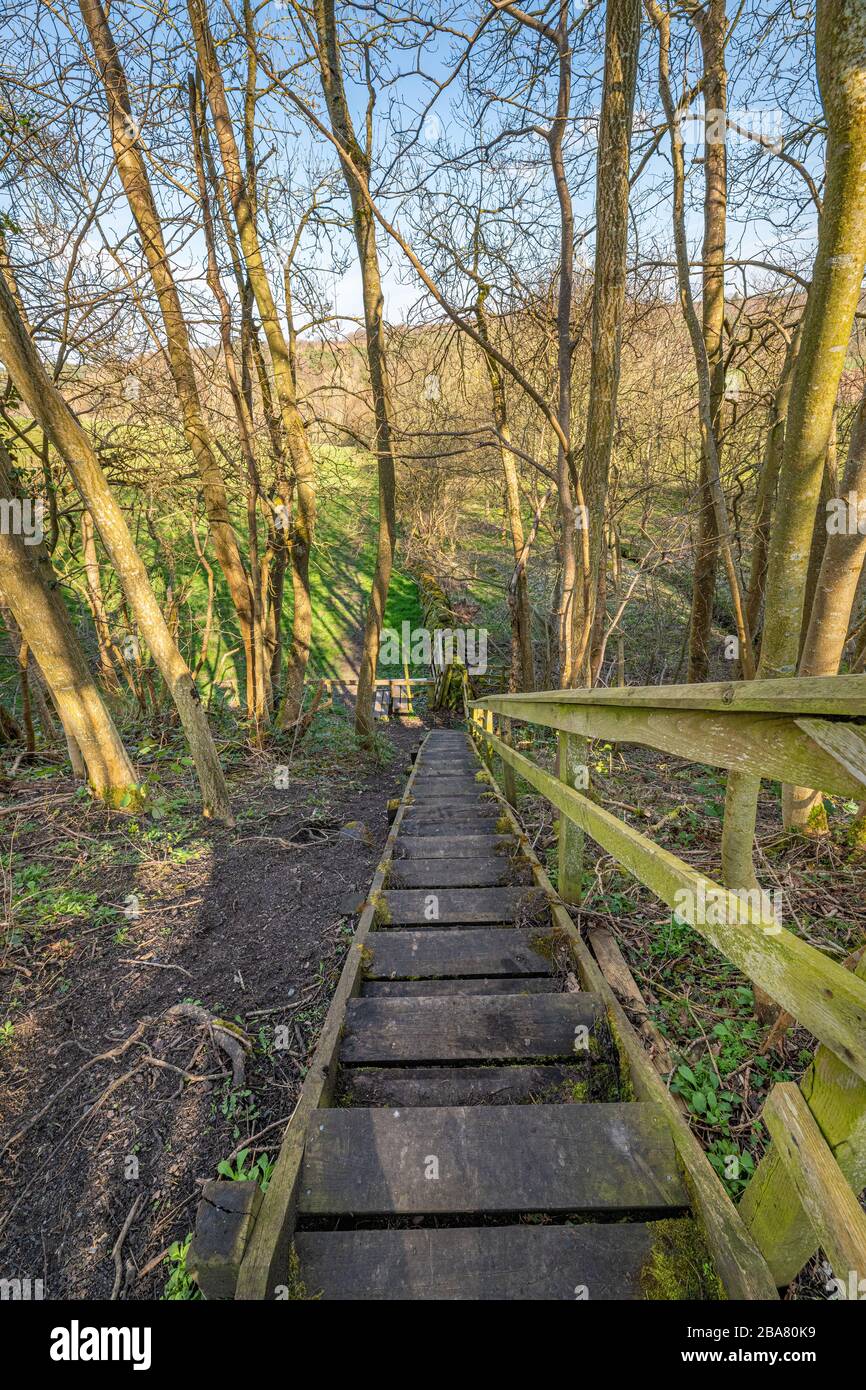 Holzstufen an vier Rändern Abbeys Way Long Distance Fußweg Stockfoto