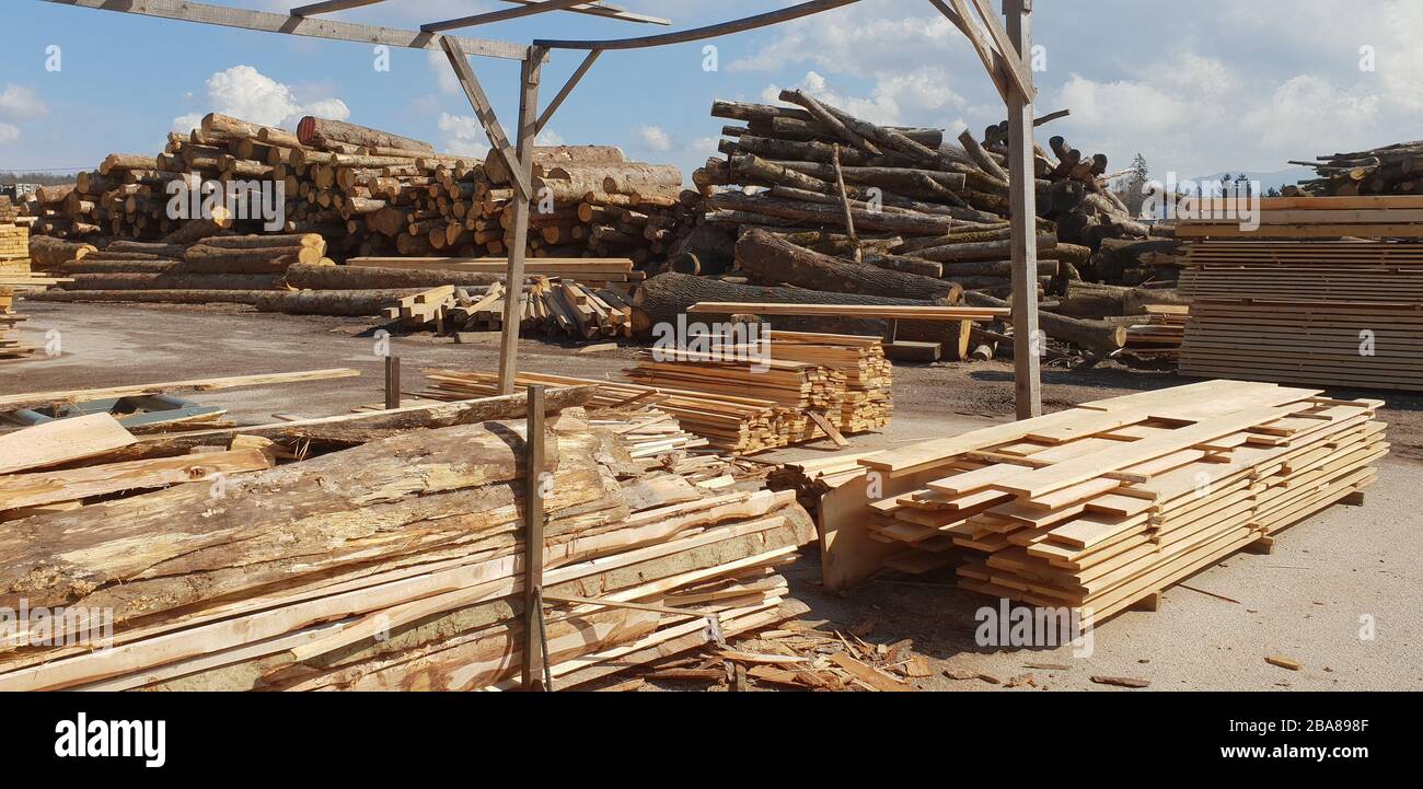 Haufen von Holzstämmen in einem Sägewerk zur Weiterverarbeitung Stockfoto