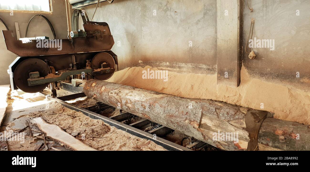 Sägeholz von Bearbeitungsstämmen im Sägewerk sägen Stockfoto