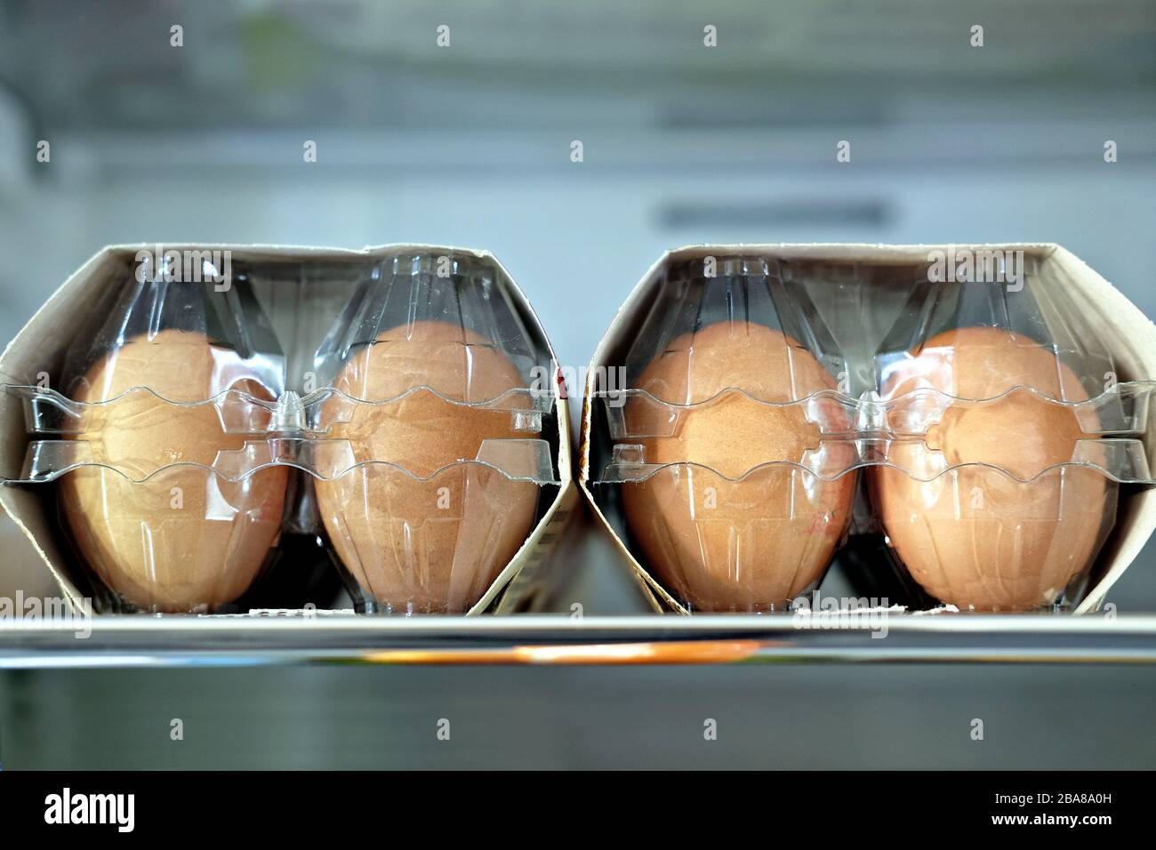 Schachteln mit Eiern im Kühlschrank Stockfoto