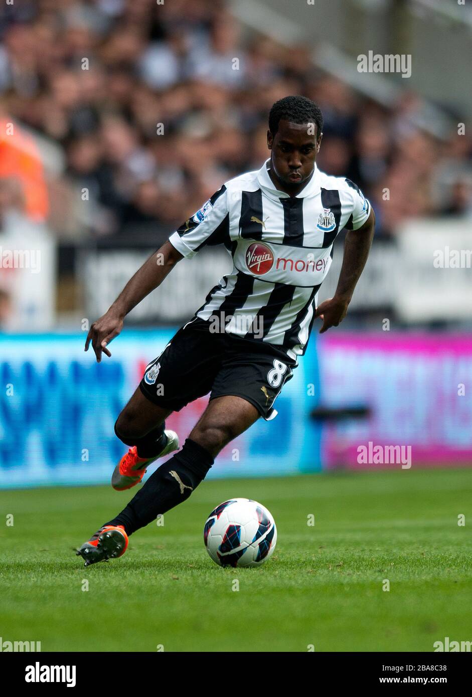 Vurnon Anita, Newcastle United Stockfoto