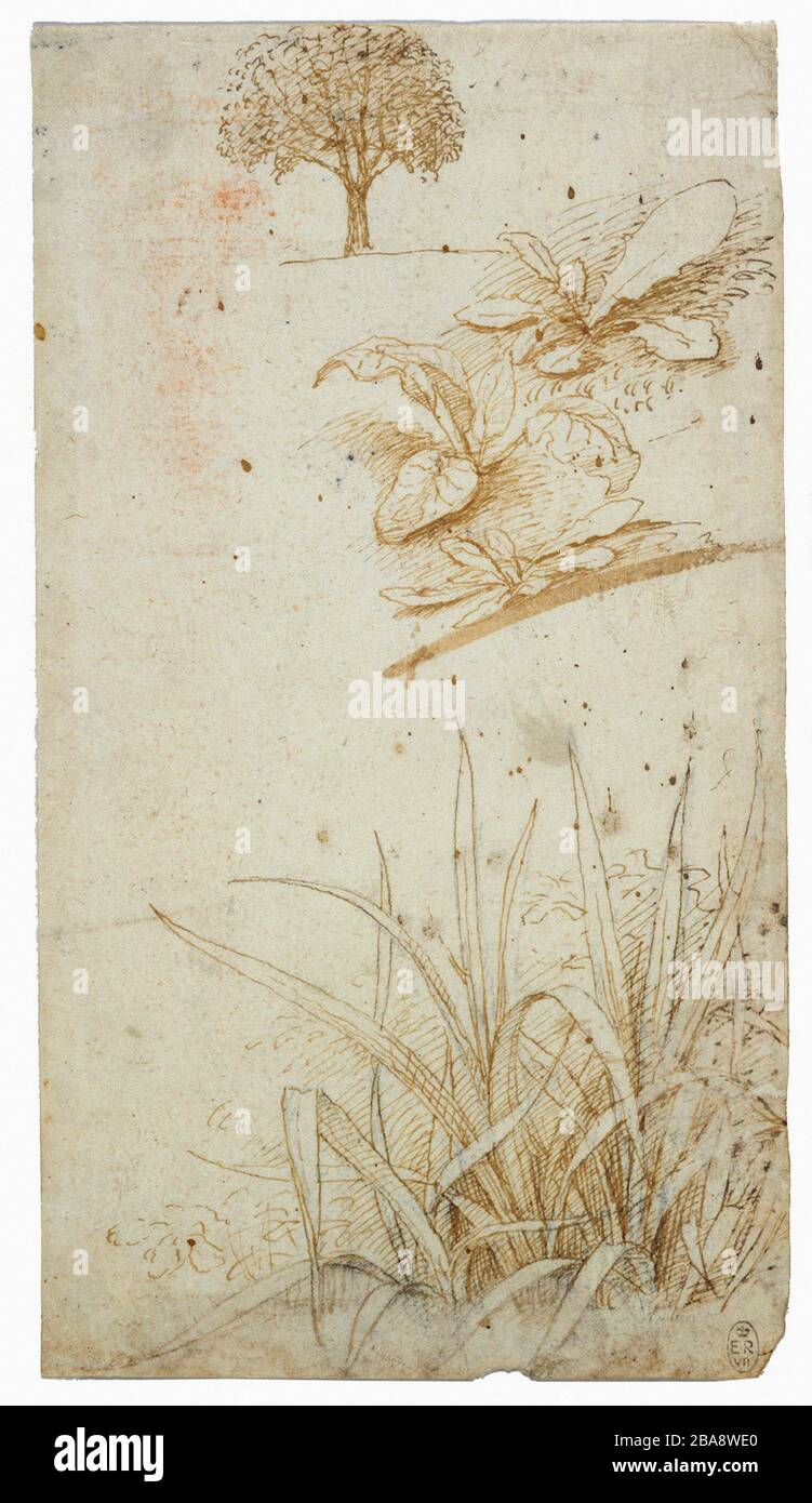 Malerei, Kunst, leonardo, vinci, Antike, da, alt, berühmt, Geschichte, alt, alt, Jahrgang, Menschen, italien, Zeichnung, Symbol, Papier, Mann, Illustration, Wissenschaft, Körper, Biologie, männlich, historisch, Skizze, Wissenschaftler, Medizin, Struktur, Anatomie, leonardo da vinci, Renaissance, Textur, Struktur, Grunge, Physiologie, Museum, beschädigt, Grungy, Seite, Text, Nahaufnahme, italienischer Künstler, anatomischer Art, alter, alter, alter, alter, alter, alter, alter, alter, alter, alter, alter, alter, Alter Frau, Hintergrund Stockfoto Malerei, Kunst, leonardo, vinci, Antike, da, alt, berühmt, Geschichte, alt, alt, Jahrgang, Menschen, italien, Zeichnung, Symbol, Papier, Mann, Illustration, Wissenschaft, Körper, Biologie, männlich, historisch, Skizze, Wissenschaftler, Medizin, Struktur, Anatomie, leonardo da vinci, Renaissance, Textur, Struktur, Grunge, Physiologie, Museum, beschädigt, Grungy, Seite, Text, Nahaufnahme, italienischer Künstler, anatomischer Art, alter, alter, alter, alter, alter, alter, alter, alter, alter, alter, alter, alter, Alter Frau, Hintergrund Stockfoto