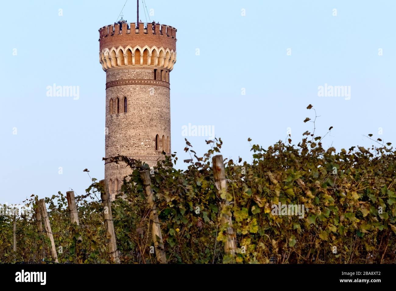 Weinberge des DOC-Weins San Martino della Battaglia. Im Hintergrund der monumentale Turm des italienischen Risorgimento. Lombardei, Italien. Stockfoto