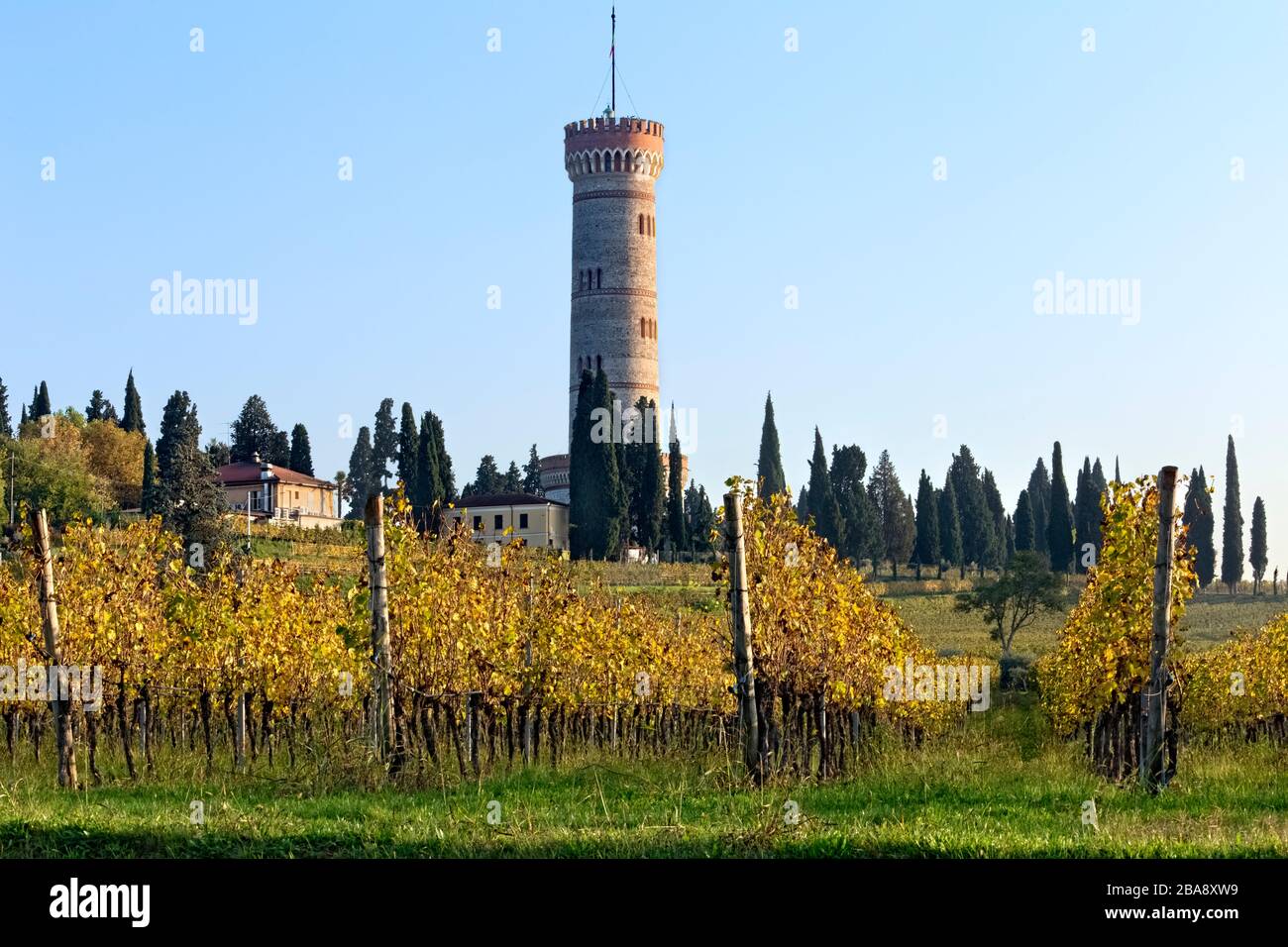 Weinberge des DOC-Weins San Martino della Battaglia. Im Hintergrund der monumentale Turm des italienischen Risorgimento. Lombardei, Italien. Stockfoto