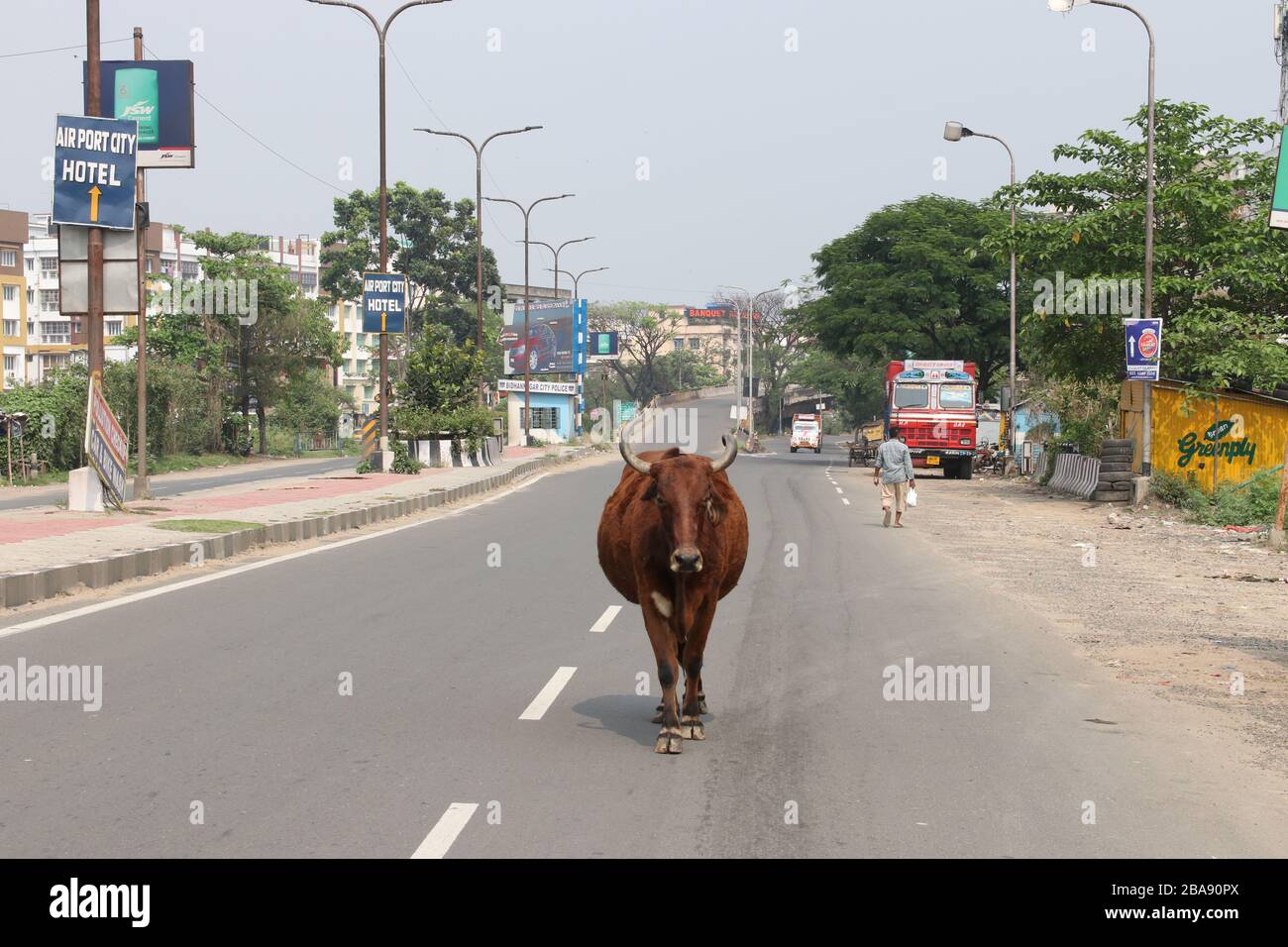 Ein Kuh überqueren den Belghariya Expressway, der am ersten Tag einer 21-tägigen landesweiten Sperre als präventive Maßnahme gegen das COVID-19-Coronavirus in Kolkata am 25. März 2020 abgebildet wurde. Mehr als eine Milliarde Inder sind am 25. März in den Sperrverzug geraten und haben ein Drittel des Planeten nun unter dem Befehl, zu Hause zu bleiben, da die Vereinigten Staaten sich gelobten, zwei Billionen Dollar auszugeben, um dem wirtschaftlichen Schaden des Coronavirus entgegenzuwirken. (Foto von Dipa Chakraborty/Pacific Press) Stockfoto