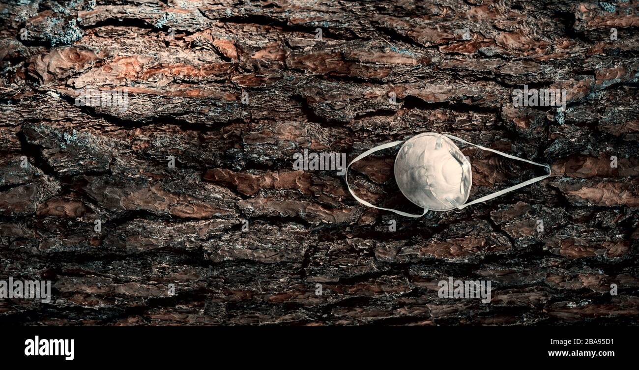 Eine weiße Maske hängt von einem Baumzweig in einem Wald ab - in der Nähe. Wegen unzureichender Gesichtsmaske während der Covid-19-Krise. Corona-Virusquarantäne. Stockfoto