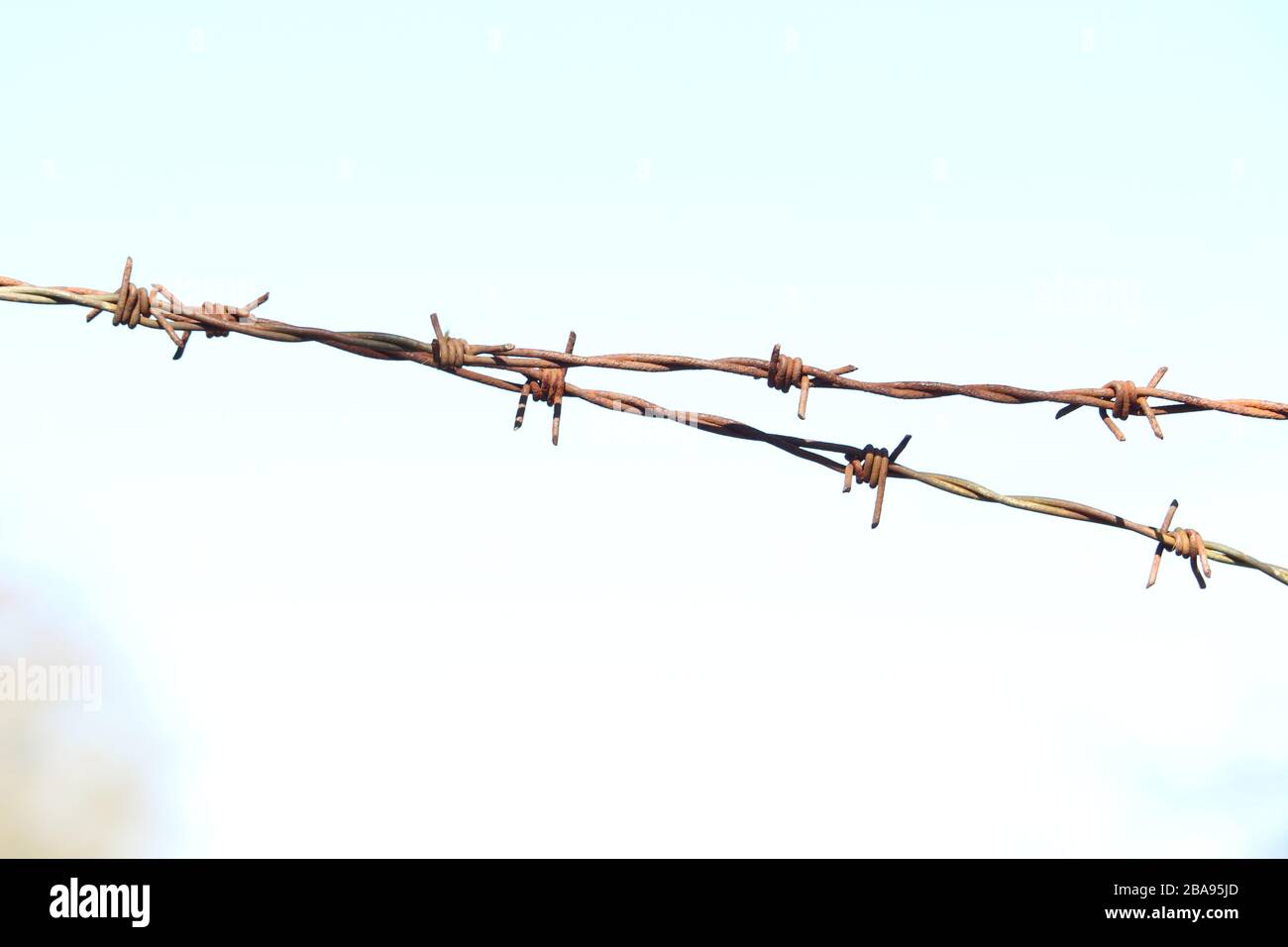 Nahaufnahme einer Strecke aus rostigem Stacheldraht, mit verschwommener, unscharfer, natürlicher Hintergrundfarbe. Selektive Fokussierung auf den Draht. Stockfoto