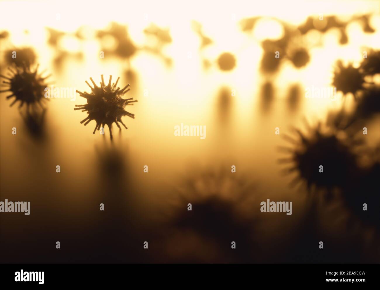 Virale Struktur. Das virale Teilchen besteht aus einem Nukleinsäurekern (DNA oder RNA), der von einem Proteinmantel umgeben ist. Konzeptioneller Veranschaulichungsvirus. 3D i. Stockfoto