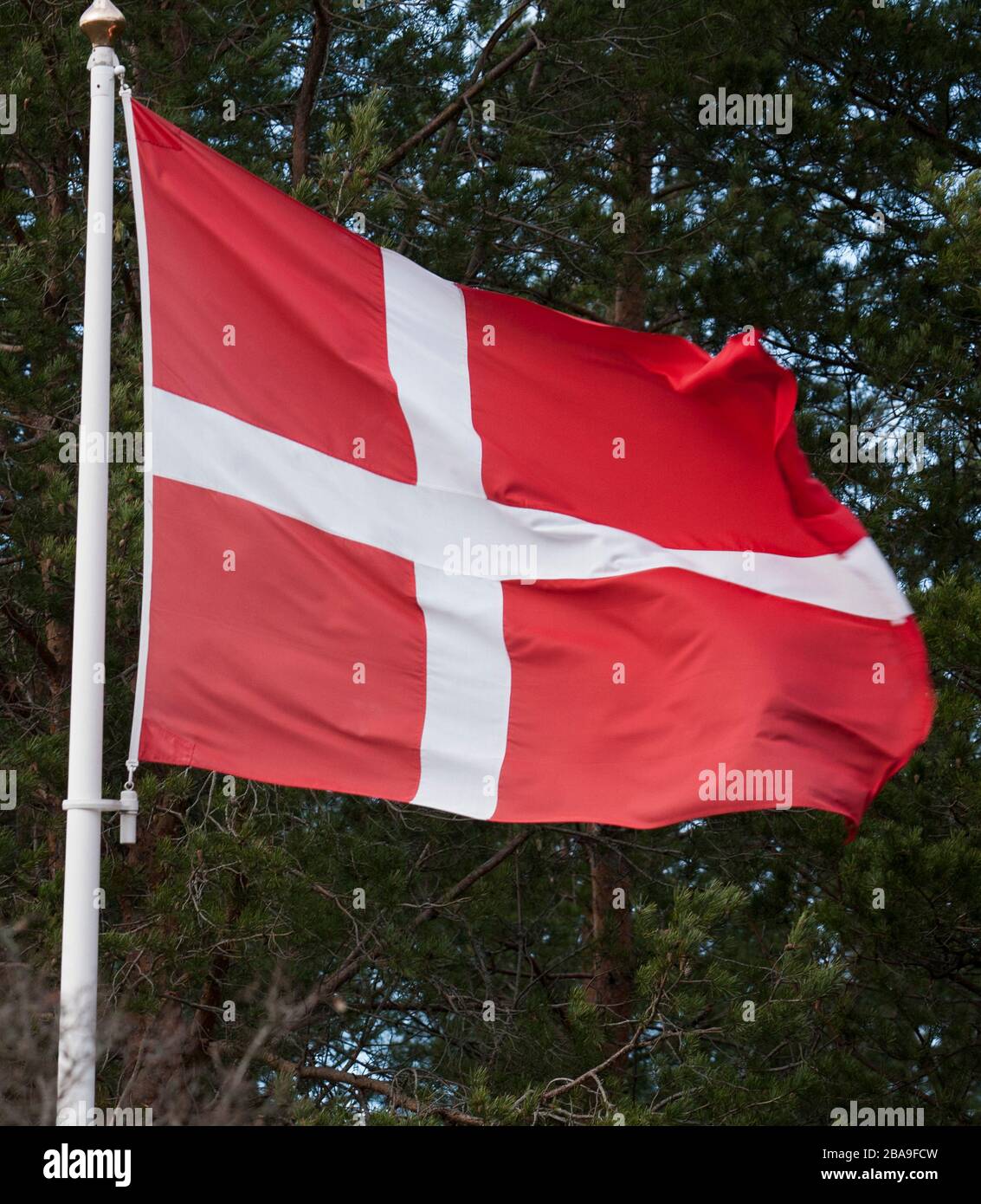 Luxus Danische Flagge 8 Buchstaben Fotos