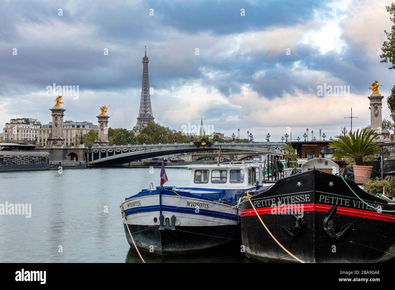 Blick vor der Morgendämmerung auf seine und Eiffelturm, Paris, Ile-de-France, Frankreich Stockfoto