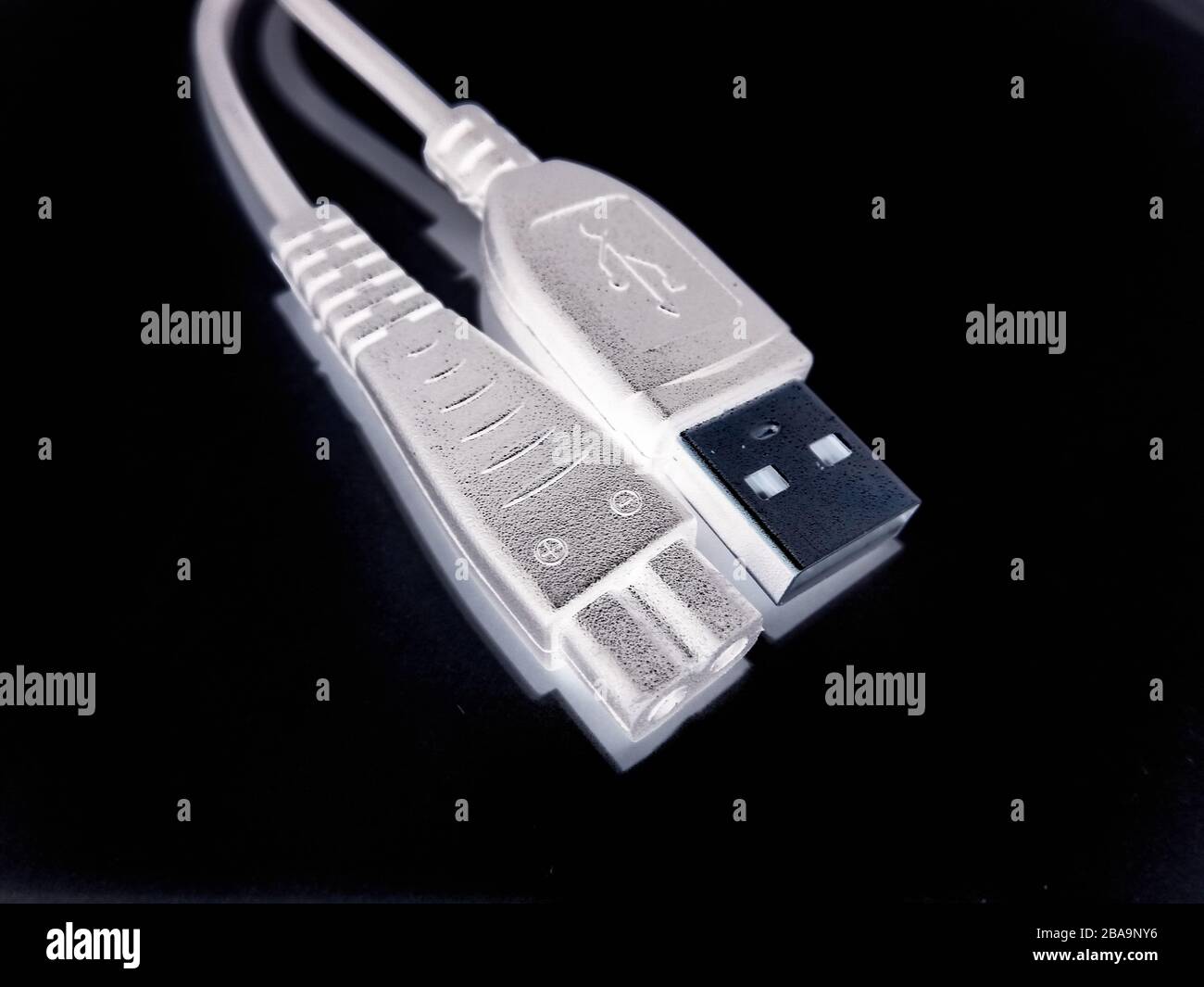 Ein Bild des usb-Kabels Stockfoto