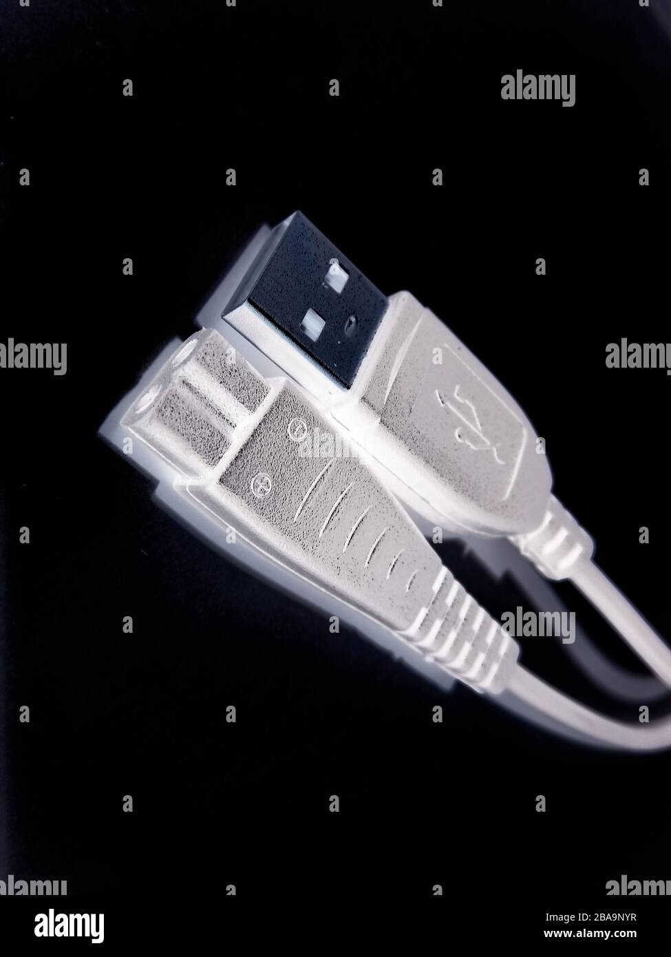 Ein Bild des usb-Kabels Stockfoto