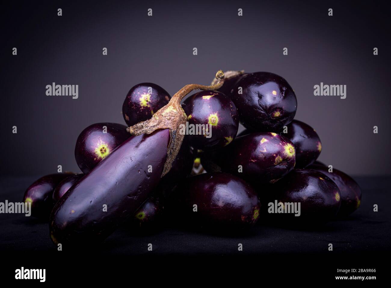 Lebendiges violettes Jungtier auf einem Stapel dunkles Aubergine Gemüse. Studio Low Key Food-Bild auf schwarzer Oberfläche und dunkelgrauem Hintergrund. Stockfoto
