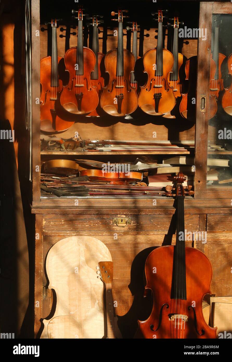 Krakauer. Krakow. Polen. Geigen und Cellos durch das Fenster der geschlossenen Luthierwerkstatt. Stockfoto