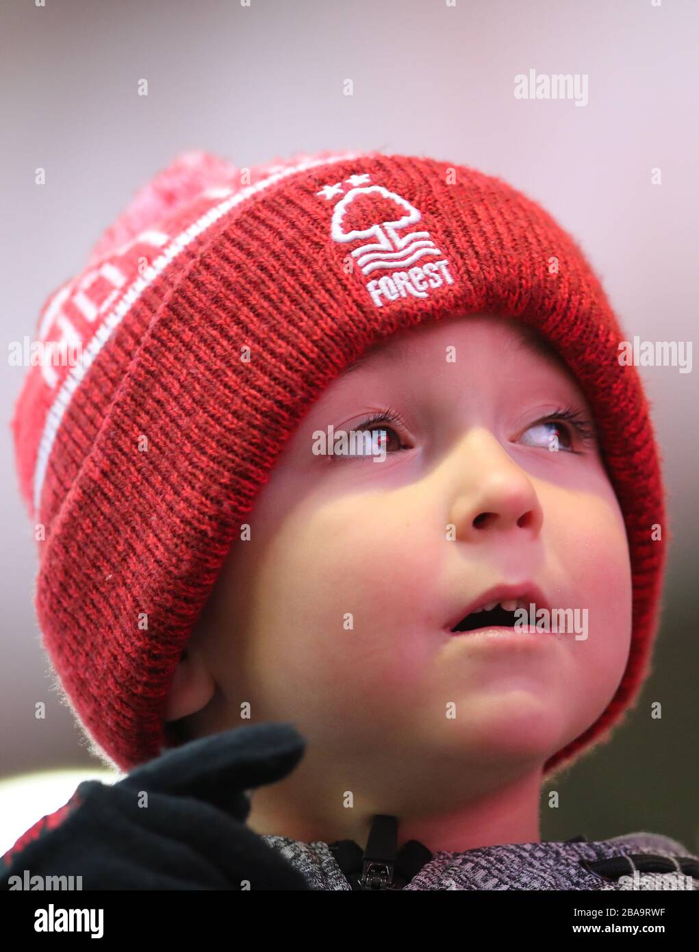 Ein allgemeiner Blick auf einen Nottingham Forest Fan im City Ground Stockfoto