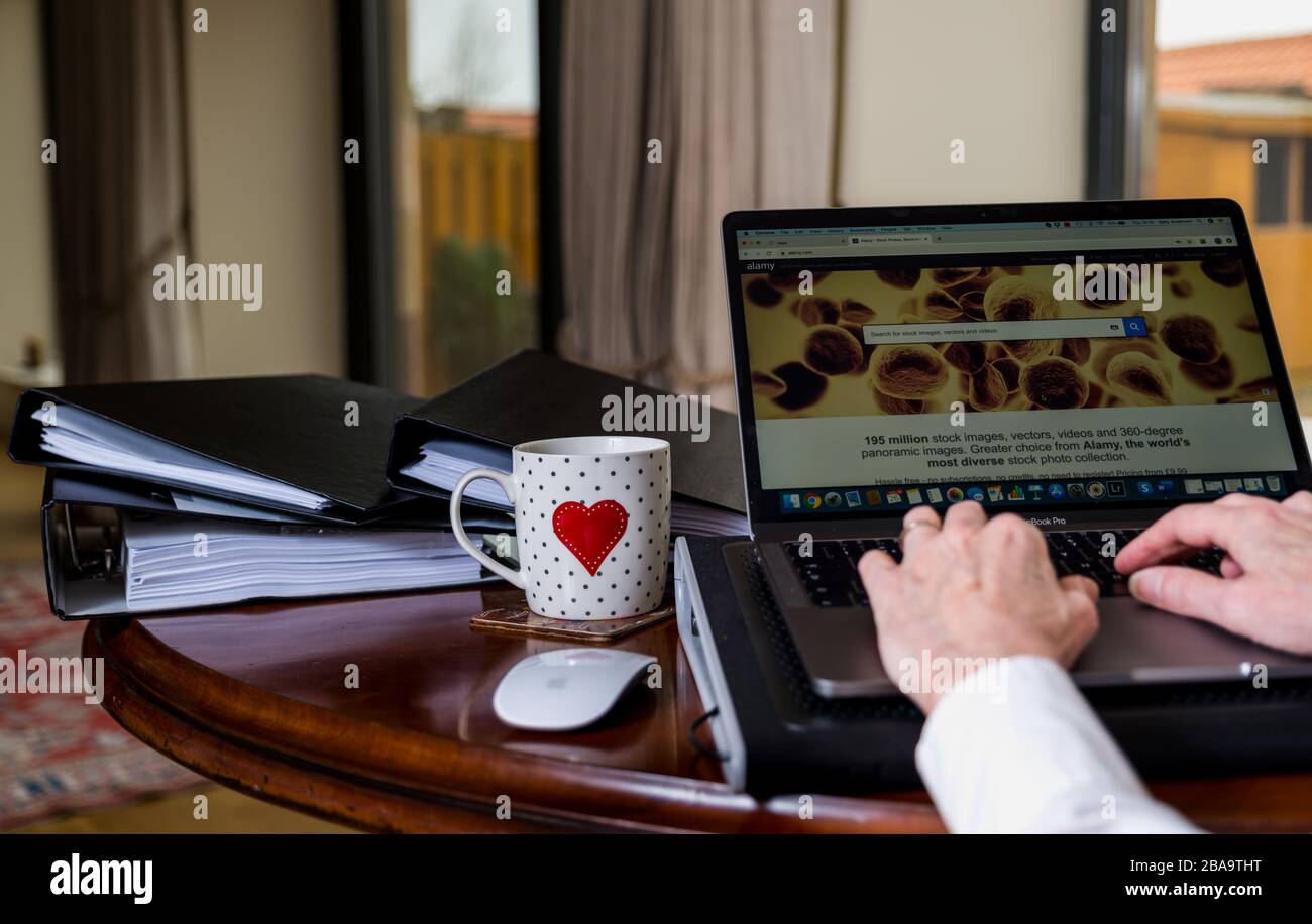 Frau, die zu Hause auf einem Laptop auf dem Tisch arbeitete, auf dem Bildschirm die Website der Alamy Stock Library angezeigt wird Stockfoto