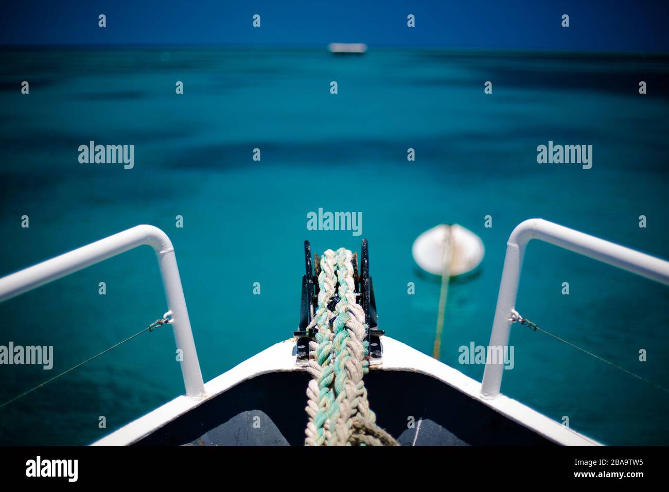 Der Blick auf das Great Barrier Reef von der Bug des Tauchbootes, das friedlich im Meer rubbt. Stockfoto