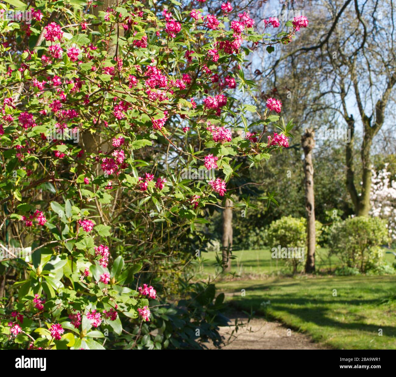 Reveley Lodge Gardens, Herfordshire, Großbritannien. Wunderschönes viktorianisches Haus, Gärten und Teestuben. Herrliche Tier- und Pflanzenwelt. Bienenkörbe, Teich und Küchengarten Stockfoto