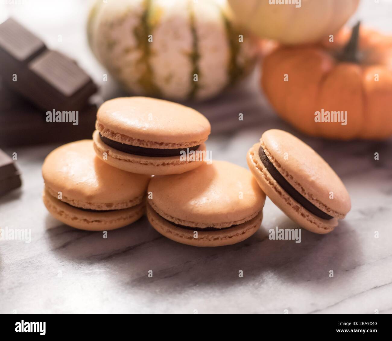 Kürbis Schokolade Macarons mit Schokoladenstücken und Mini-Kürbis Stockfoto