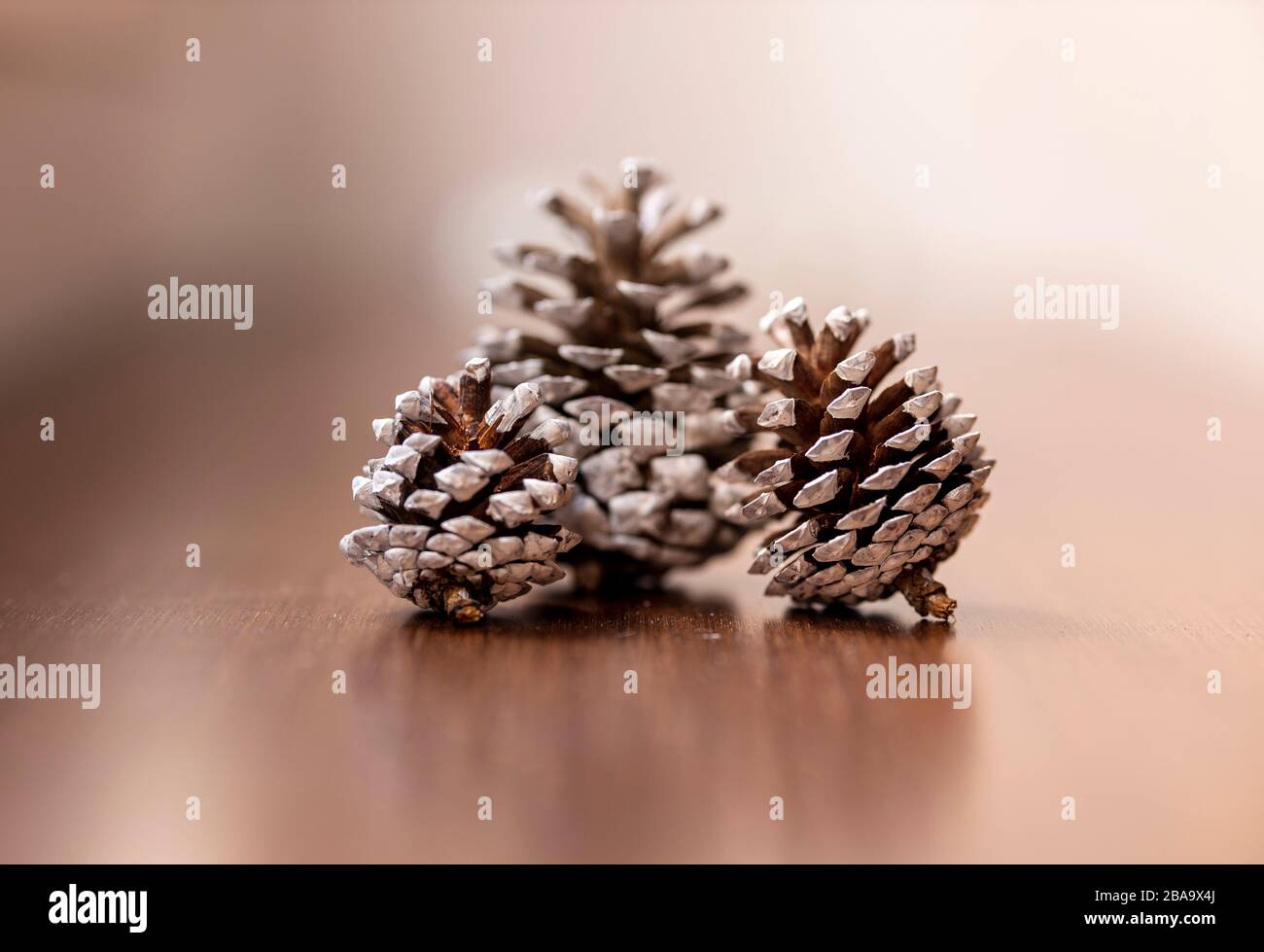 Ananas bemalt und dekoriert für zu Hause Partys Stockfoto