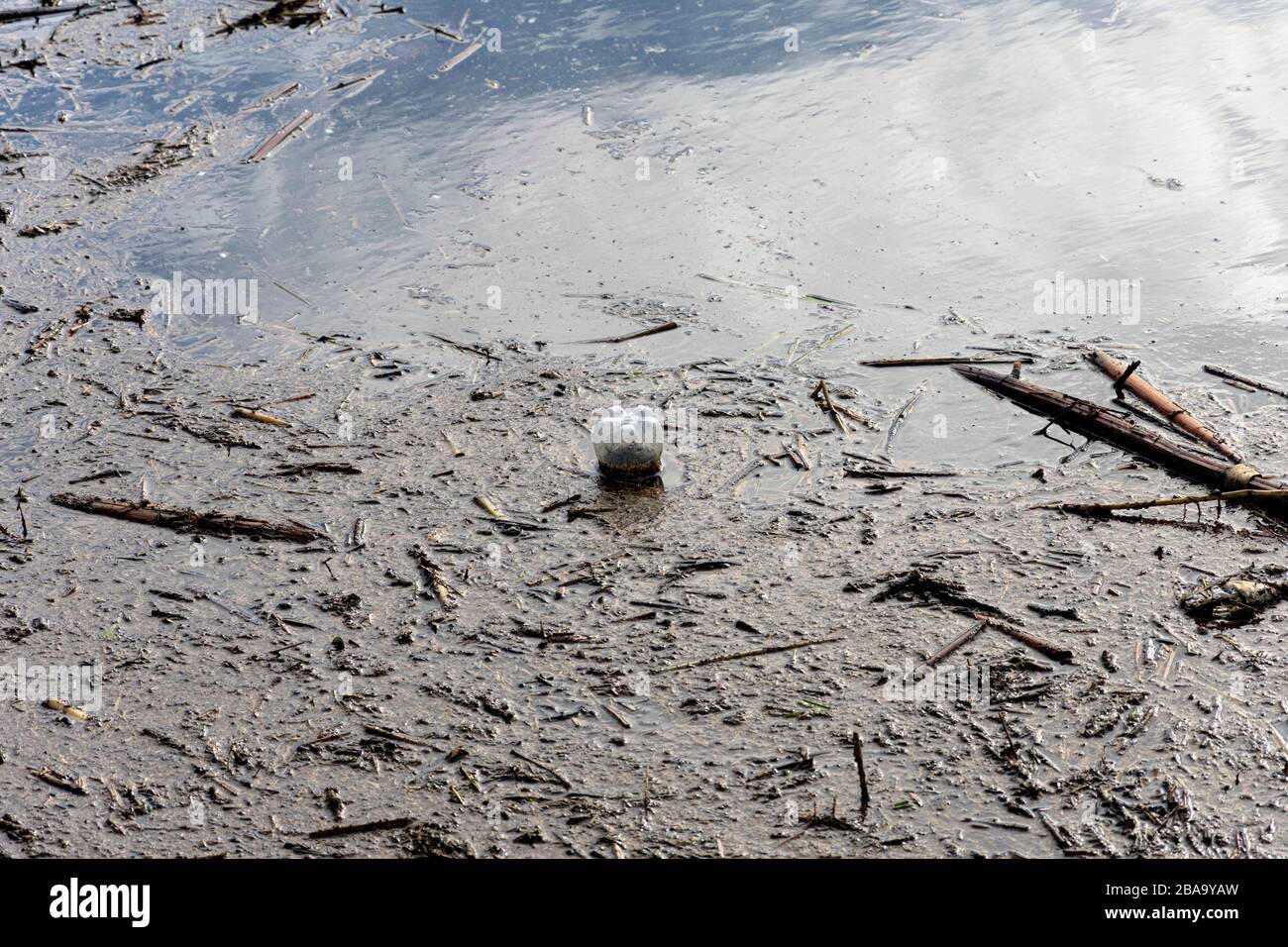 Kunststoffflasche mit Softdrink oder Bier schwimmt in einem stark belasteten Teich umgedreht herum Stockfoto