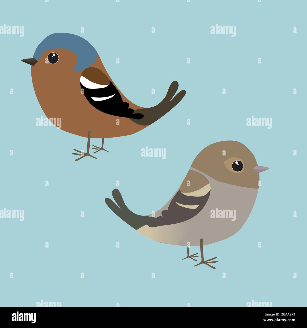Ein paar süße Finken Illustration. Es ist ein männlicher und ein weiblicher Vogel Stock Vektor