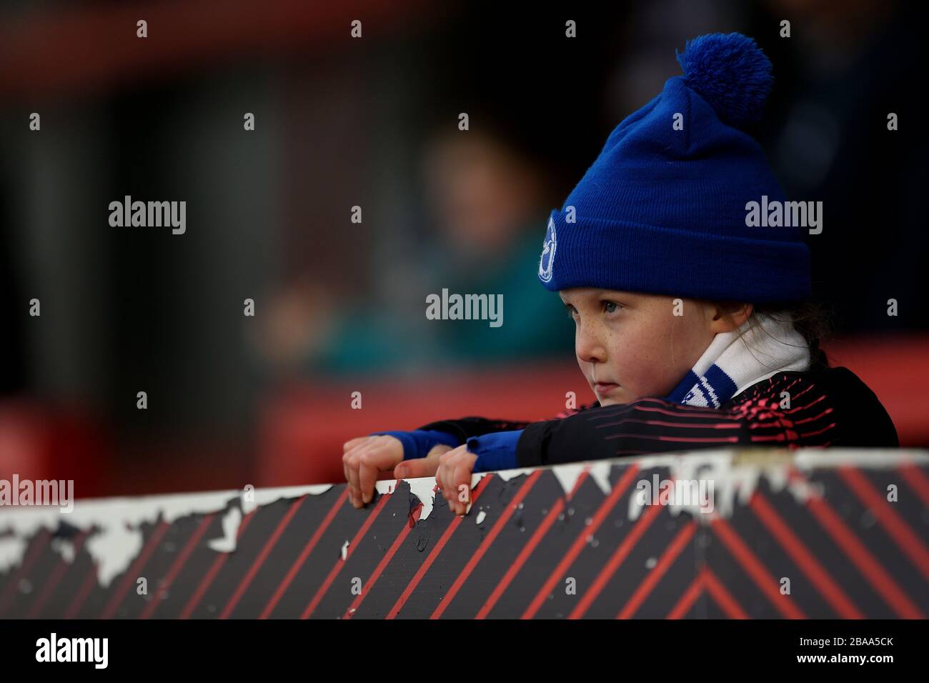Ein junger Brighton- und Hove Albion-Fan beobachtet während des Spiels Stockfoto