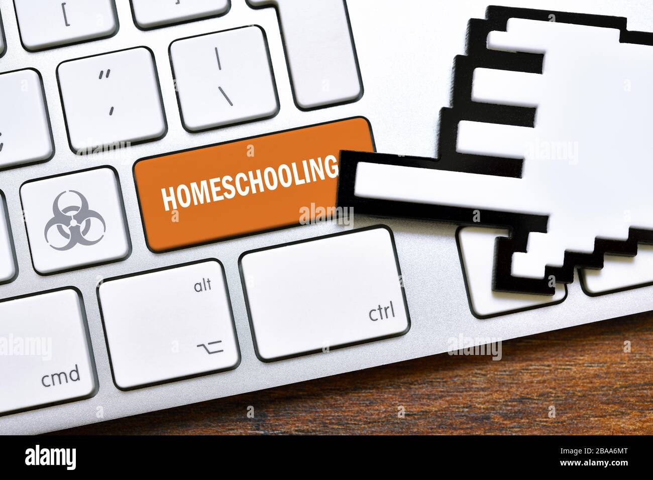 FOTOMONTAGE, Computerschlüssel mit dem Label Homeschooling and Biology Danger Sign, Hausunterricht während der Corona-Krise, FOTOMONTAGE, Computergeschmack mit Stockfoto