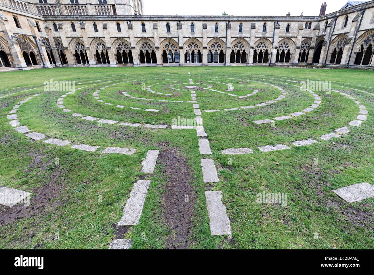 Irrgarten an der Kathedrale, Norwich, Norfolk, England, Großbritannien Stockfoto