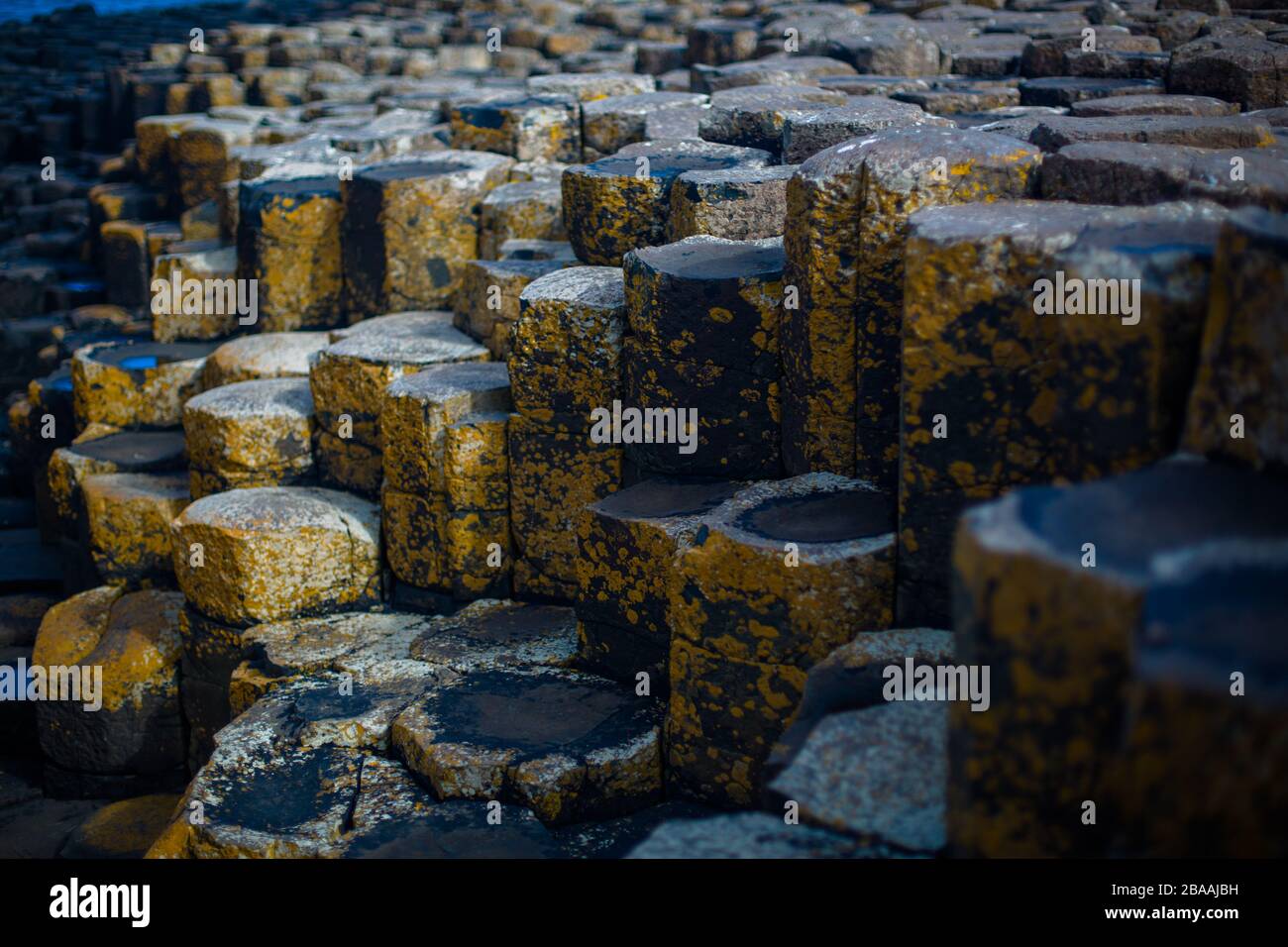 Die UNESCO-Website Giants Causeway, Nordirland, Großbritannien Stockfoto