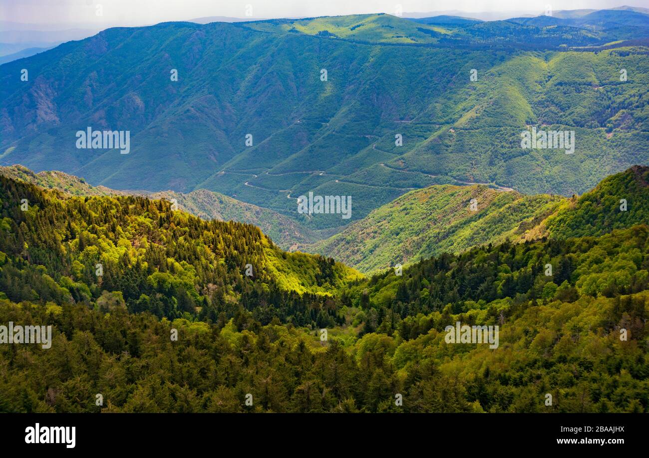Frankreich, Nationalpark Cevennen, Mont-Aigoual, Blick auf den Berg Stockfoto