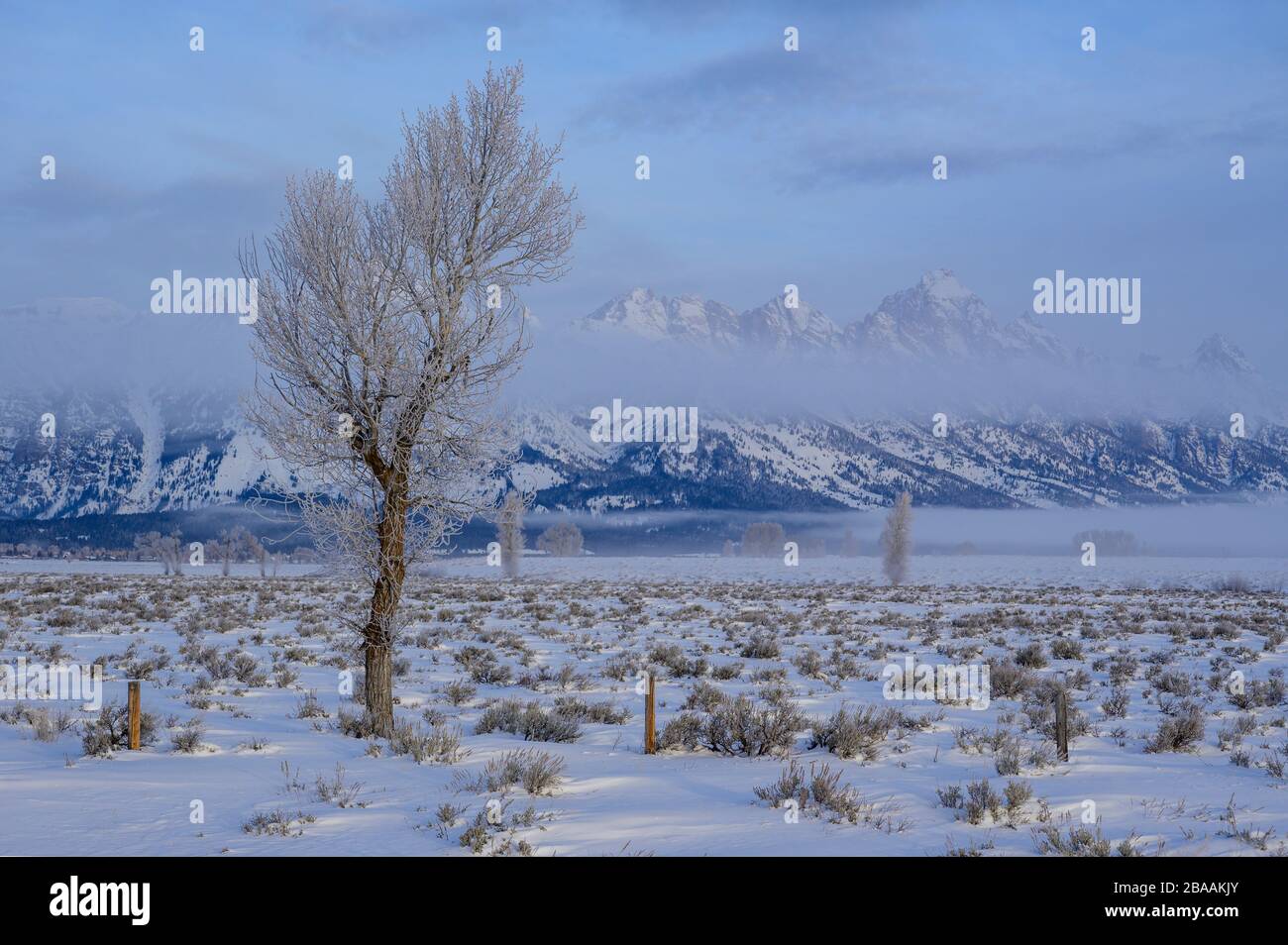 USA, Rocky Mountains, Wyoming, Grand Teton, Nationalpark im Winter Stockfoto