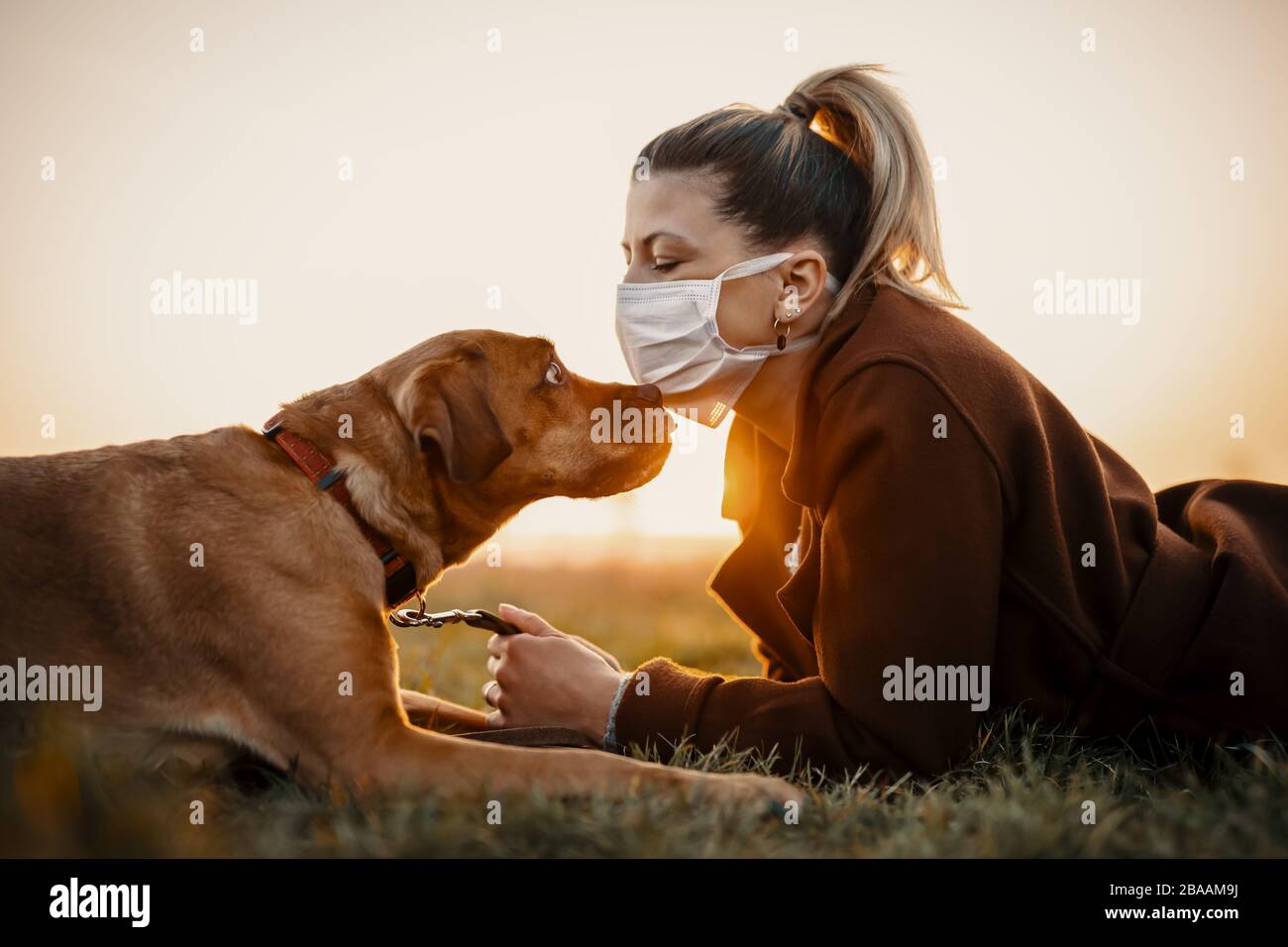 Frau, die eine Schutzmaske trägt, geht allein mit einem Hund im Freien wegen der Corona-Virus-Pandemie Kovid-19 Stockfoto
