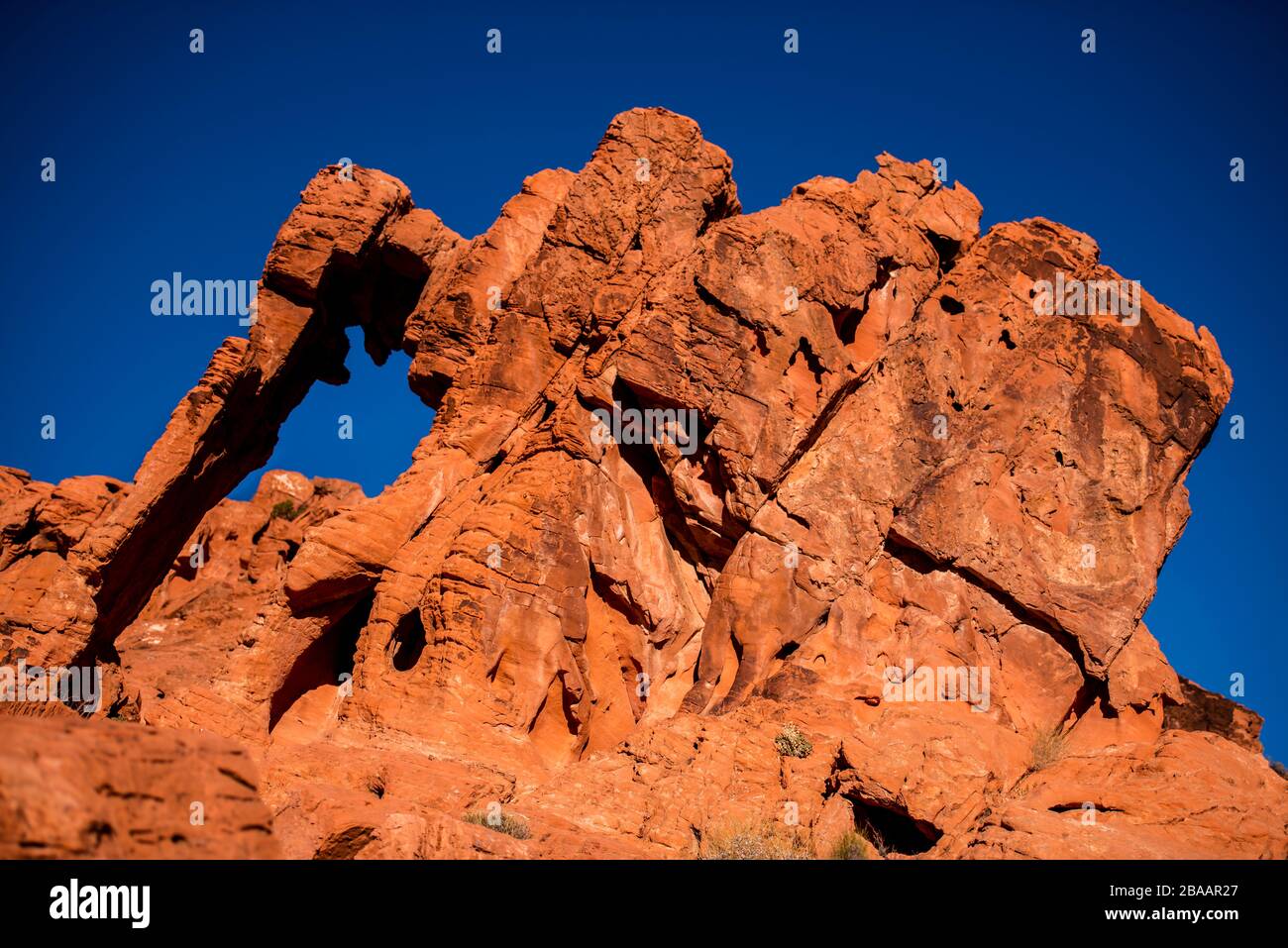 Blick auf Elephant Rock, Valley of Fire State Park, Nevada, USA Stockfoto