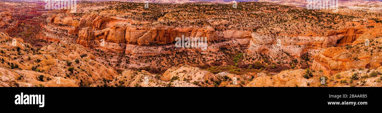 Blick auf das Sandstone Valley The Hogback, Utah, USA Stockfoto