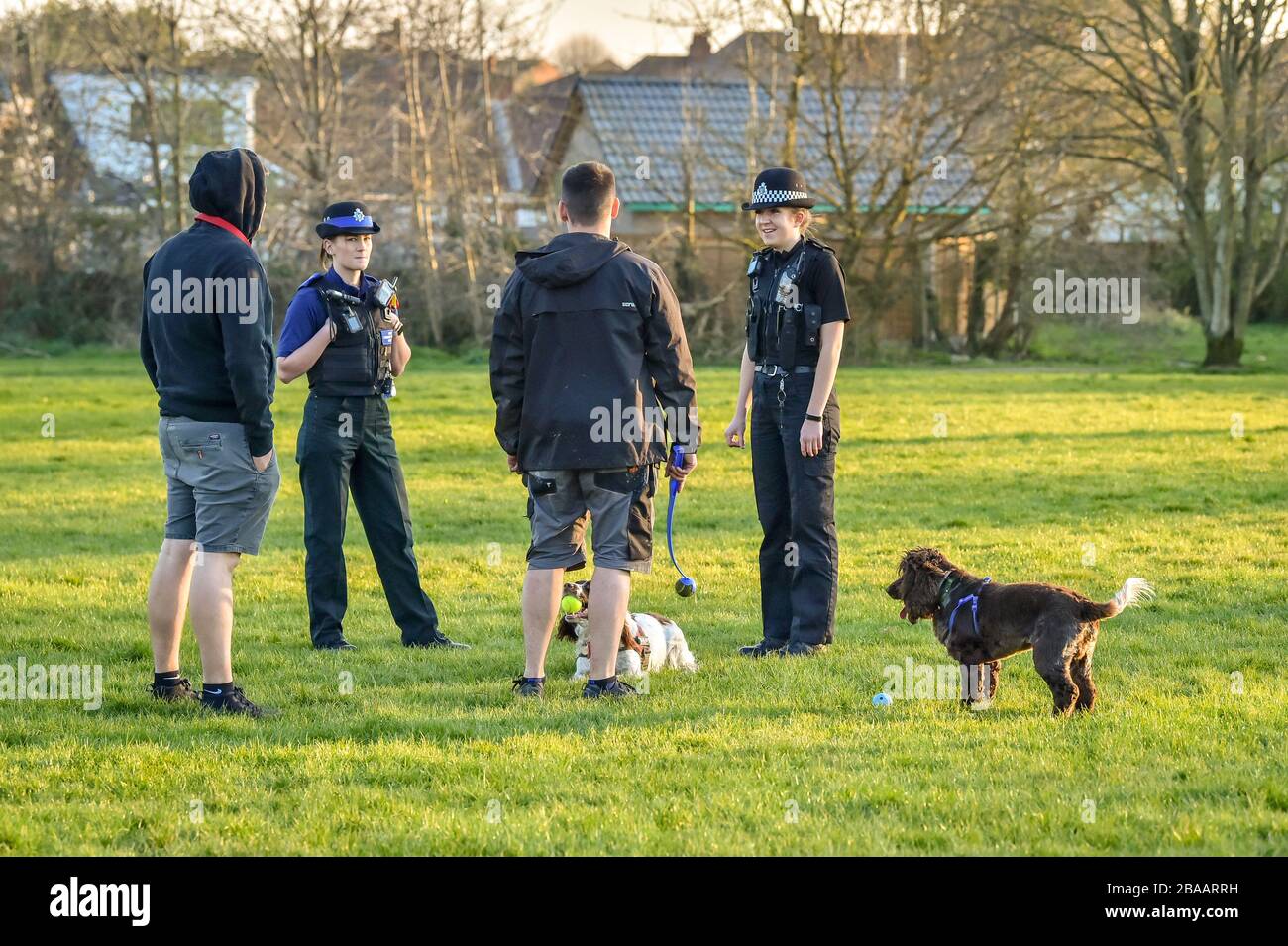 Avon und Somerset Polizeibeamte plaudern mit Hundegängern in einem Park in Bristol, wo sie die Sperrregeln für Coronavirus patrouillieren und durchsetzen. Stockfoto