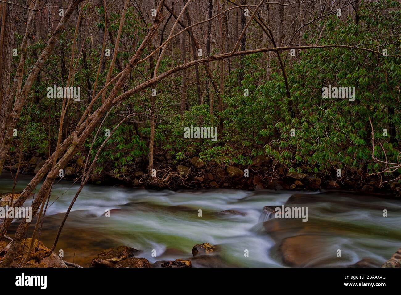 Die Schönheit der Natur entlang der Wasserkante des Stoney Creek in der Nähe von Dungannon Virginia. Stockfoto