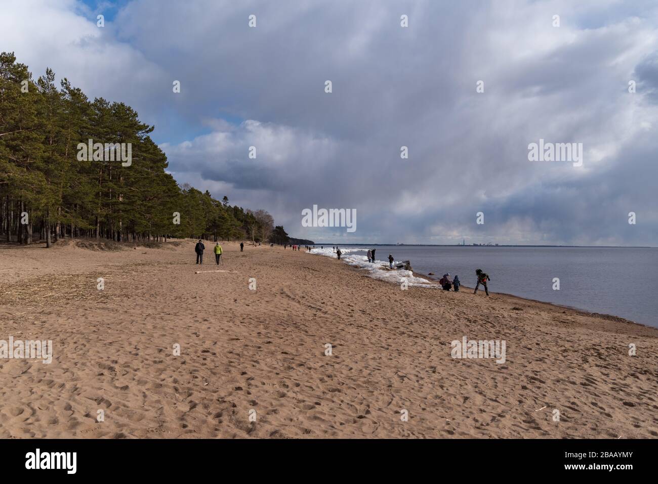 Komarovo russia Fotos und Bildmaterial in hoher Auflösung Alamy