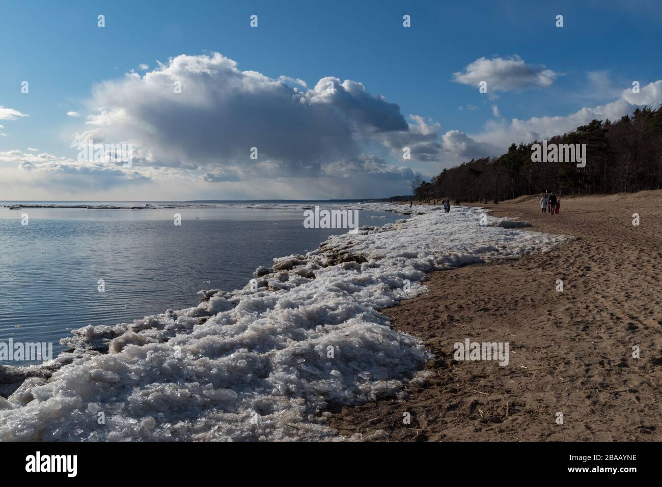 Komarovo russia Fotos und Bildmaterial in hoher Auflösung Alamy