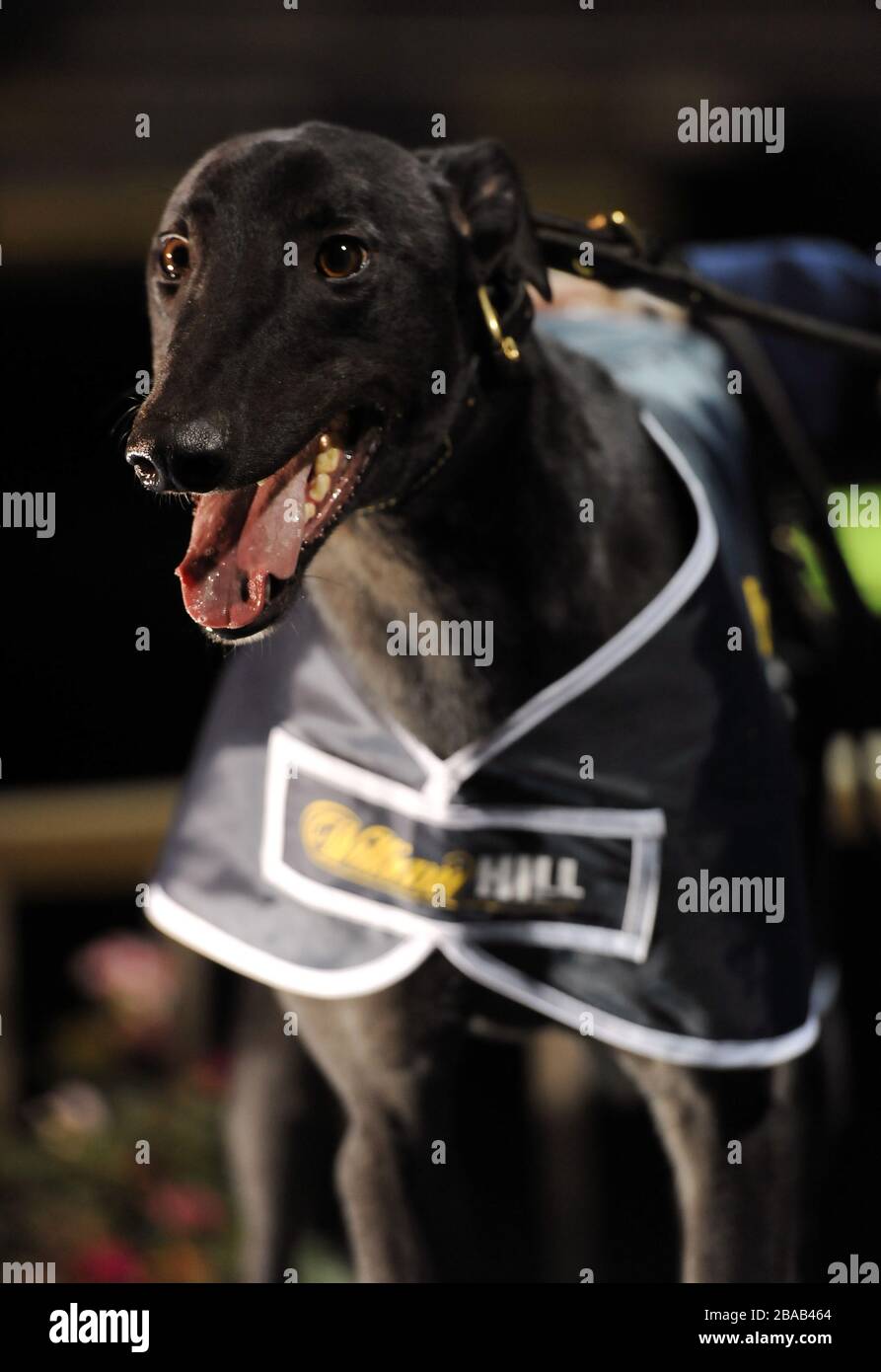 Sieger des Rennens Stockfoto