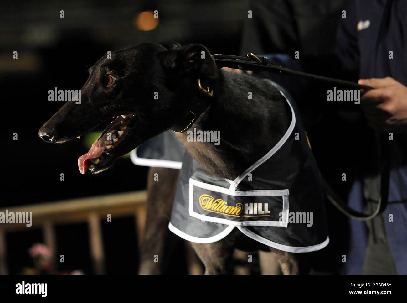 Sieger des Rennens Stockfoto