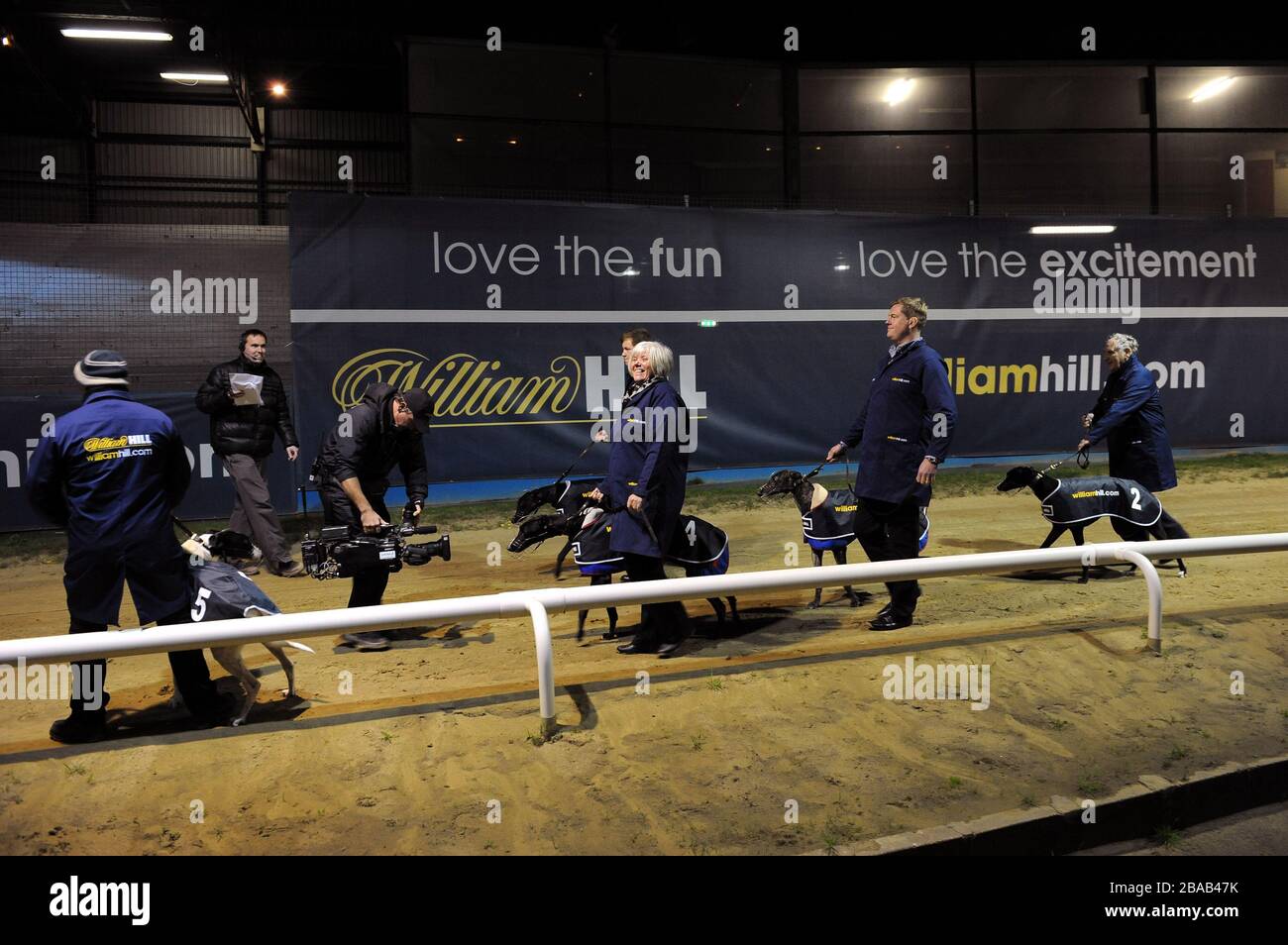 Die Hunde werden vor dem Rennen von Handlern ausgeparadelt Stockfoto