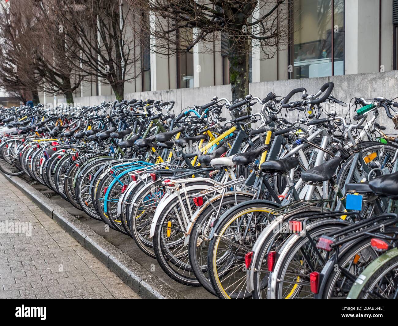 Reihen von vielen Fahrrädern, die außerhalb von Gent, Belgien, geparkt wurden Stockfoto