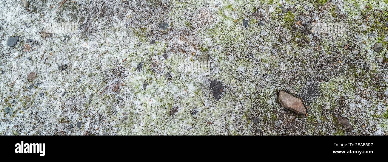 Frostabdeckung auf dem Boden Stockfoto
