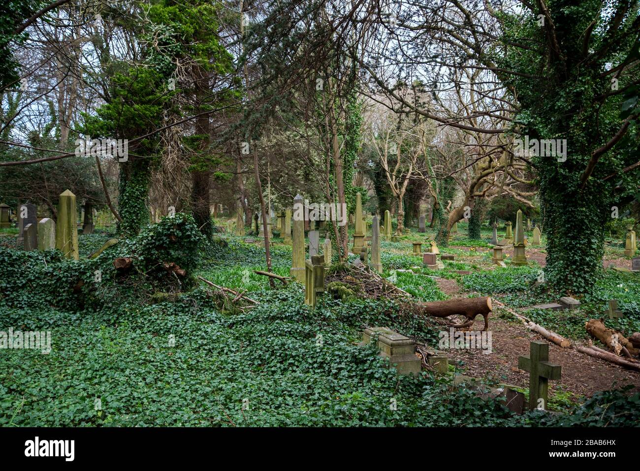 Die überwucherten und vernachlässigten viktorianischen Abschnitt des Warriston Cemetery, Edinburgh, Schottland, Großbritannien. Stockfoto