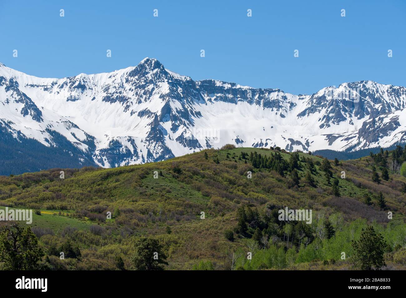 Die Landschaft mit niedrigen Winkeln, grünen Hügeln und schneebeppten Sneffels Mountain Range an der Dallas Divide in der Nähe von Ridgway, Colorado Stockfoto