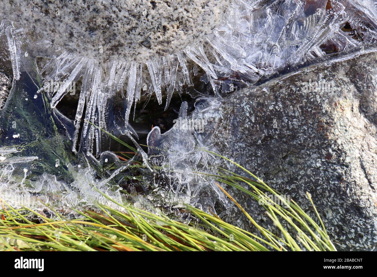 Halbtransparente Eiskristallstrahlen am kleinen Bach am frühen Morgen mit Felsen und grünem Gras. Das Wasser des Baches ging in den Boden über, le Stockfoto